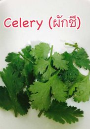 Céleri