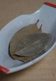 Feuilles de Laurier