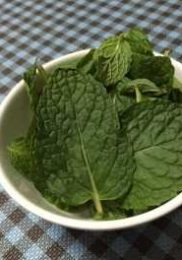 Feuille de menthe