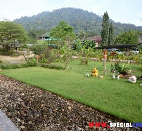Visiter Khao Sok, parc naturel 2