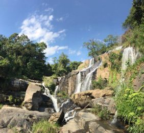 Manu Doi Inthanon 2