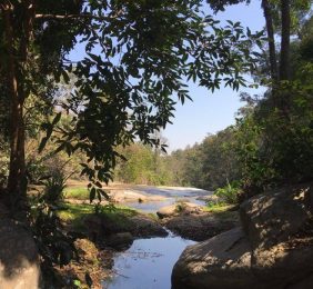 Manu Doi Inthanon 4
