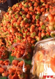 Visiter Talad Rot Fai Market à Bangkok 26-min