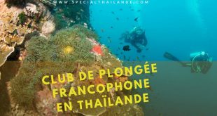 Club de Plongée Francophone en Thaïlande