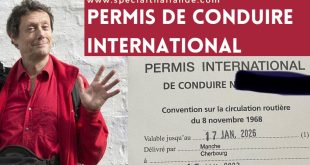 Délai permis de conduire international